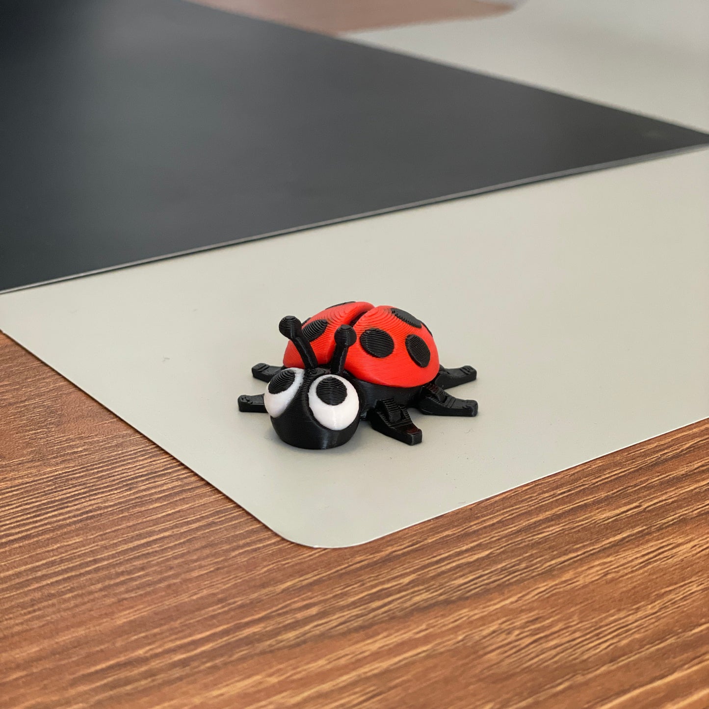 Ladybug - Neoo Keychain